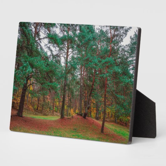 Herbstwald Fotoplatte (Seite)