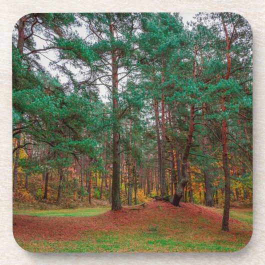 Herbstwald Getränkeuntersetzer (Vorderseite)