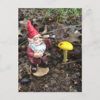 Herbstwald Gnome Postkarte