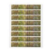 Herbstwald I Herbstlandschaftsfotografie (Bogen)