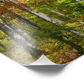 Herbstwald I Herbstlandschaftsfotografie Fotodruck (Ecke)