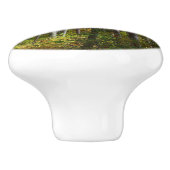 Herbstwald I Herbstlandschaftsfotografie Keramikknauf (Seitenansicht)