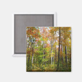 Herbstwald I Herbstlandschaftsfotografie Magnet (Vorderseite/Rückseite)