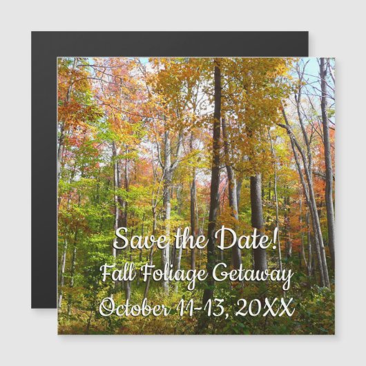 Herbstwald I Herbstlandschaftsfotografie Magnetkarte (Vorne/Hinten)