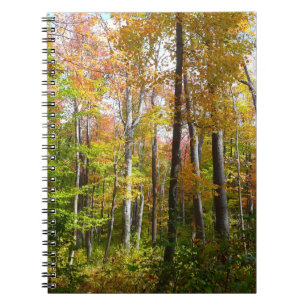 Herbstwald I Herbstlandschaftsfotografie Notizblock