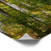 Herbstwald I Herbstlandschaftsfotografie Poster (Ecke)