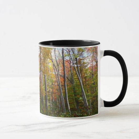 Herbstwald I Herbstlandschaftsfotografie Tasse (Rechts)