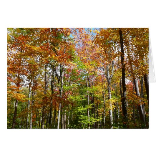 Herbstwald II Herbstlandschaftsfotografie (Vorderseite (Horizontal))