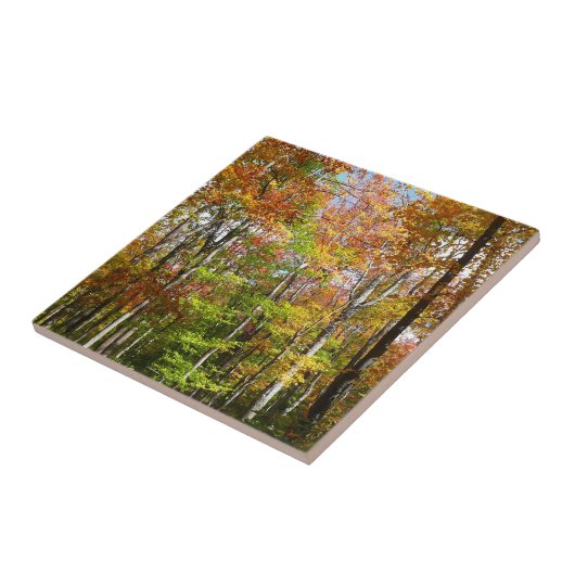 Herbstwald II Herbstlandschaftsfotografie Fliese (Seite)