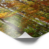 Herbstwald II Herbstlandschaftsfotografie Fotodruck (Ecke)