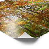 Herbstwald II Herbstlandschaftsfotografie Fotodruck (Ecke)