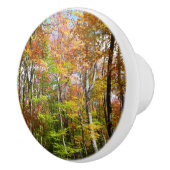 Herbstwald II Herbstlandschaftsfotografie Keramikknauf (Rechts)