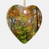 Herbstwald II Herbstlandschaftsfotografie Keramikornament (Rechts)