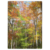 Herbstwald II Herbstlandschaftsfotografie Klemmbrett (Rückseite)