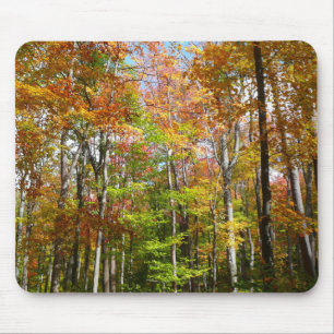 Herbstwald II Herbstlandschaftsfotografie Mousepad