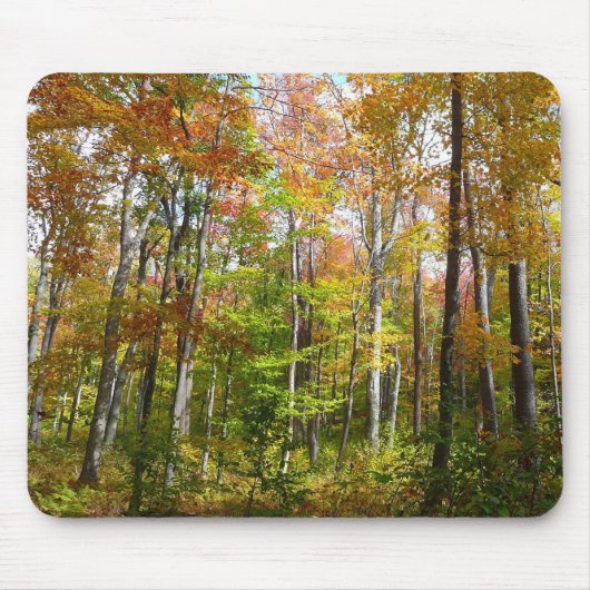 Herbstwald II Herbstlandschaftsfotografie Mousepad (Vorne)