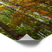 Herbstwald II Herbstlandschaftsfotografie Poster (Ecke)