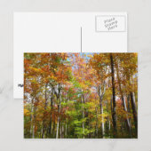 Herbstwald II Herbstlandschaftsfotografie Postkarte (Vorne/Hinten)