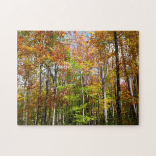 Herbstwald II Herbstlandschaftsfotografie Puzzle