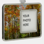 Herbstwald II Herbstlandschaftsfotografie Rahmen-Ornament Silber (Rechts)