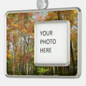 Herbstwald II Herbstlandschaftsfotografie Rahmen-Ornament Silber (Links)