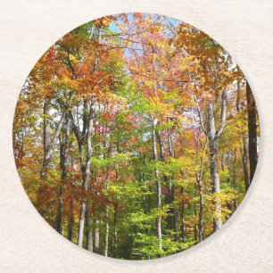 Herbstwald II Herbstlandschaftsfotografie Runder Pappuntersetzer