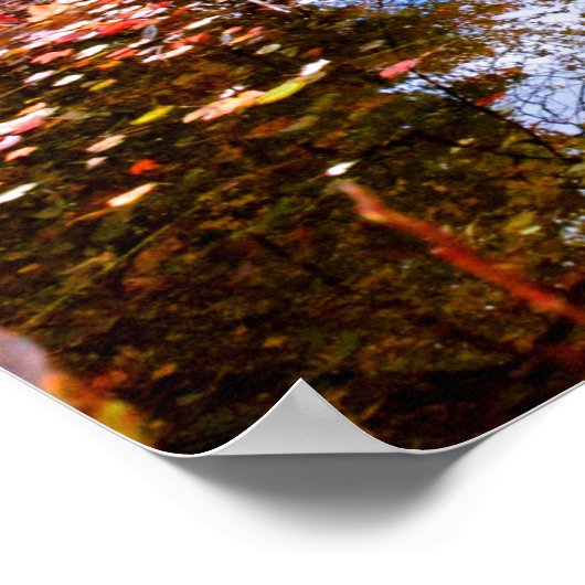 Herbstwald im Teich Poster (Ecke)