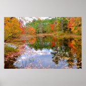 Herbstwald im Teich Poster (Vorne)