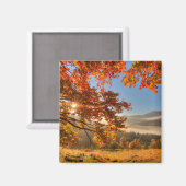 Herbstwald in den Bergen Magnet (Vorderseite/Rückseite)