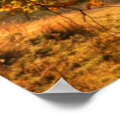 Herbstwald in den Bergen Poster (Ecke)