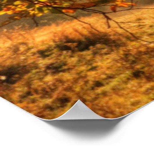 Herbstwald in den Bergen Poster (Ecke)