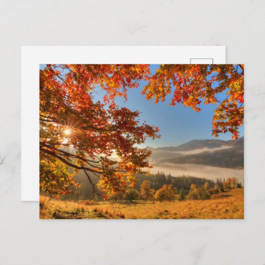 Herbstwald in den Bergen Postkarte (Vorne/Hinten)