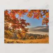 Herbstwald in den Bergen Postkarte (Vorderseite)