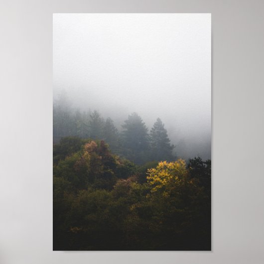 Herbstwald in Nebel gewickelt Poster (Vorne)