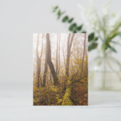 Herbstwald in Nebelatmosphäre Postkarte (Stehend Vorderseite)