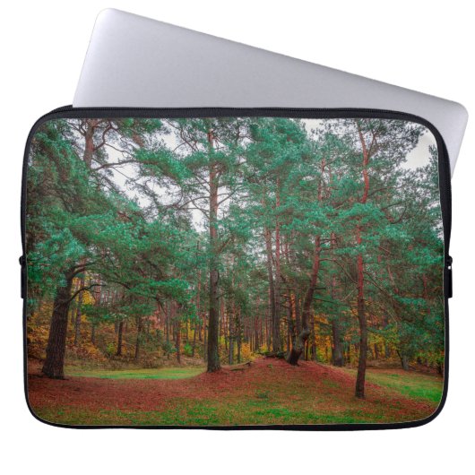 Herbstwald Laptopschutzhülle (Vorderseite)
