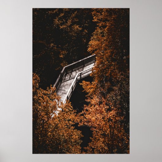 Herbstwald mit Holzweg Poster (Vorne)