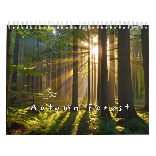 Herbstwald mit Sonnenstrahlen Kalender (Titelbild)