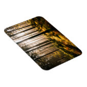 Herbstwald mit Sonnenstrahlen Magnet (Rechte Seite)