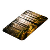 Herbstwald mit Sonnenstrahlen Magnet (Linke Seite)