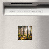 Herbstwald mit Sonnenstrahlen Magnet (In Situ (Geschirrspüler))