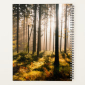 Herbstwald mit Sonnenstrahlen Planer (Rückseite)