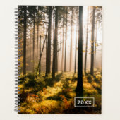 Herbstwald mit Sonnenstrahlen Planer (Vorderseite)