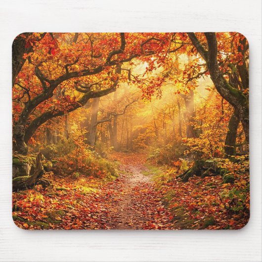 Herbstwald Mousepad (Vorne)