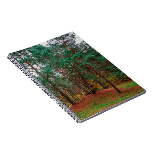 Herbstwald Notizblock (Rechte Seite)