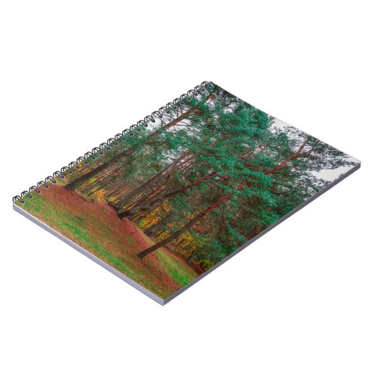 Herbstwald Notizblock (Linke Seite)