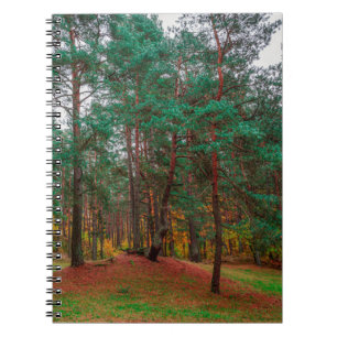 Herbstwald Notizblock