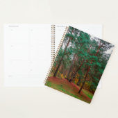 Herbstwald Planer (Anzeige)