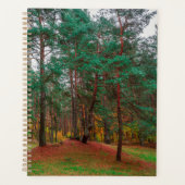 Herbstwald Planer (Vorderseite)