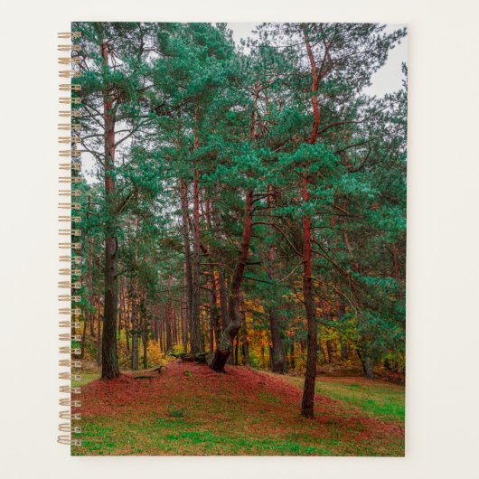 Herbstwald Planer (Vorderseite)